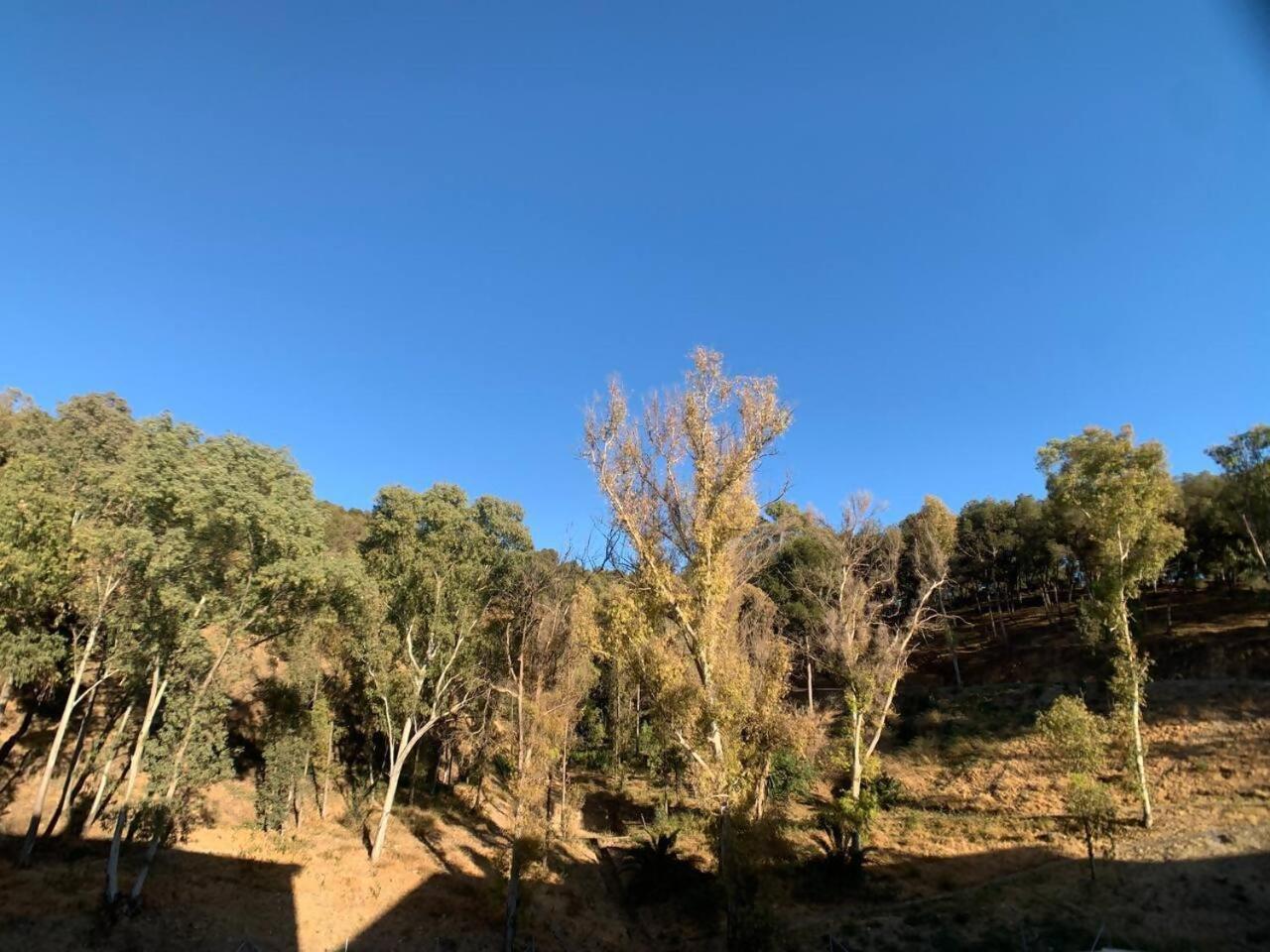 Mundo Nuevo Malaga Centro Daire Dış mekan fotoğraf